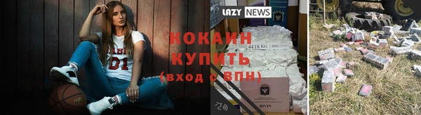 мдпв Дубна