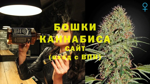 прущие грибы Гусь-Хрустальный