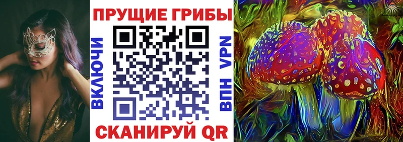 Галлюциногенные грибы GOLDEN TEACHER  нарко площадка наркотические препараты  Певек 